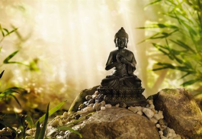 photo-wallpaper-wall-mural-buddha-tranquility-komar.jpg